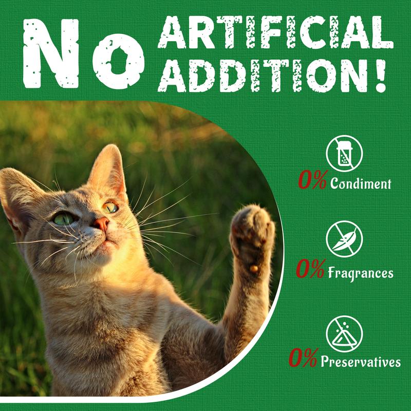 PurrTurf™ Anti-Hairball Cat Treat